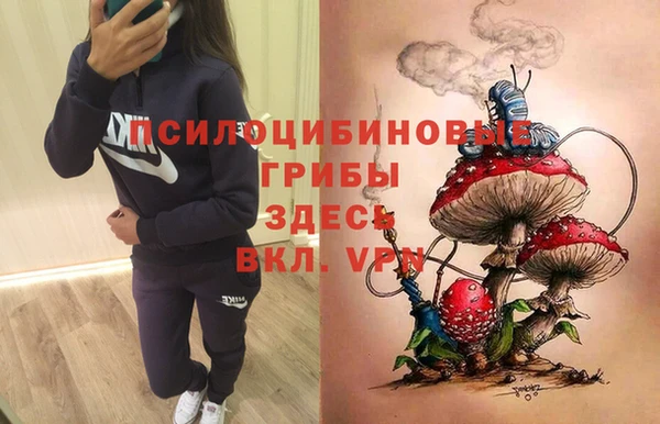 мдма Лагань