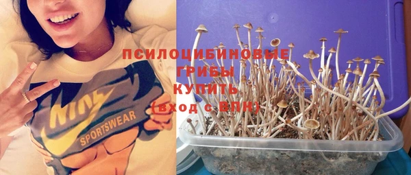 героин Лабытнанги