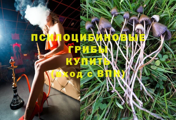 не бодяженный Ладушкин